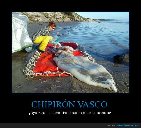 patxi,calamar,chipirón,vasco